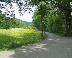 Steinbachtal